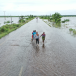Torrential rains, overflowing rivers, and upstream dam releases have triggered one of Mozambique’s worst flooding crises in years. 19,000+ people rescued, but many remain stranded with rising disease and malnutrition risks.